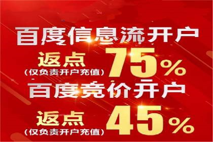 SEM服务案例：助力企业拓展海外市场